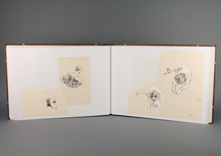 A folio of 41 studies of dogs, pen and wash and mixed media 