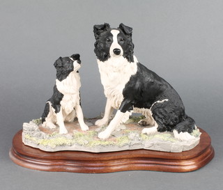 A Border Fine Arts group of a sheep dog and puppy by M Turner no. 706/1500 on a wooden base 11" 