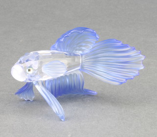 A Swarovski Crystal blue glass fighting fish 3" boxed