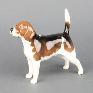 A Beswick figure of a beagle "Wendover Billy" no.1933A 5 1/2" 