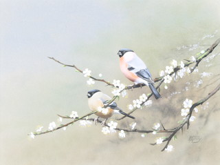 Bruce Henry (b1918), watercolour signed, "Bullfinches on Blackthorn" 9" x 12" 