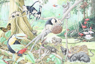 Richard W Orr, gouache, "Amazon Rain Forest" study with animals and birds 11 1/2" x 17" 
