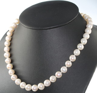 A cultured pearl necklace with a silver ball clasp 17 1/2" 