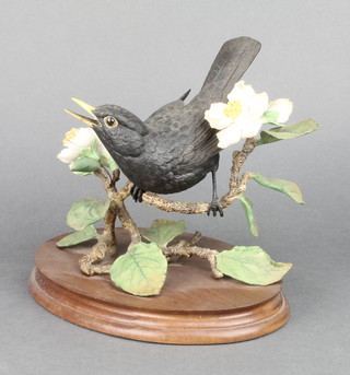 A Border Fine Arts model of a Blackbird on a twig on a wooden base 9", no.446/1852 together with a Border Fine Arts figure of a Kingfisher on a branch by Geerty 8"