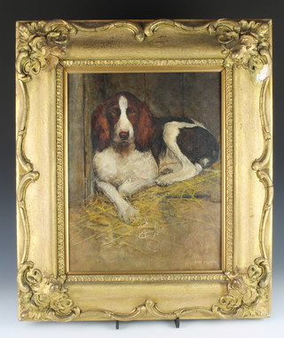 Samuel Fulton (Scottish 1855-1941), oil on canvas, signed, study of a reclining spaniel 17" x 13" 