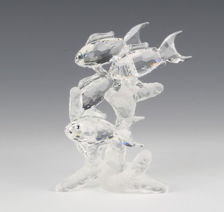 A Swarovski group "School of Fish" No 666355/7644000014, designed by Martin Zendron 4"h, contained in a fitted case