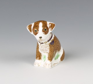 A limited edition Royal Crown Derby paperweight, "Colin the Puppy" 3 1/2" with gold stopper, No305 /500