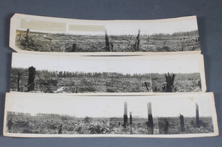 A WWI Second Army panorama No 114 made on 21st May 1917 from Beef Street OP, copy No11
8"h x 101" in three sections and mounted on card