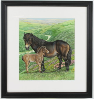 Richard W Orr, gouache, signed, Exmoor ponies 11" x 10"