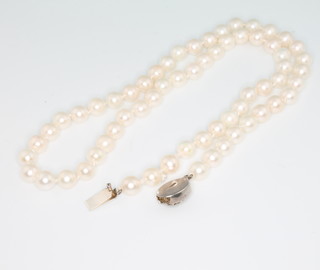 A string of cultured pearls with silver clasp, 16"