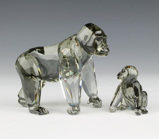 A Swarovski "2009 Endangered Species Gorillas" No 952504 designed by Anton Hirzinger and contained in a fitted box