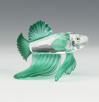 A coloured Swarovski figure "Siamese fighting fish" (green) No 261259/7644000006 designed by  Heinz Tabertshofer, contained in a fitted case 