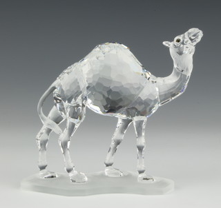 A Swarovski figure "Camel" No 247683/7603000004 designed by Heinz Tabertshofer, contained in a fitted box 