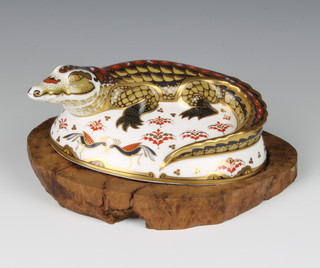 A Royal Crown Derby Imari pattern paperweight crocodile by John Ablitt, with gold stopper, 15cm boxed 