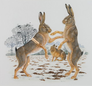 Richard W Orr, gouache,study of boxing hares in a snowy landscape 30.5cm x 33cm 