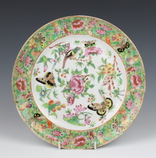 A 19th Century famille rose plate decorated with butterflies, insects and flowers, 25cm 