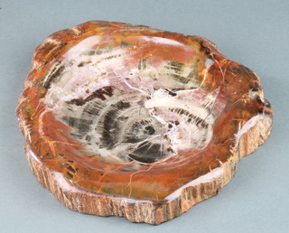 A bowl formed from a section of fossilized tree trunk 3cm x 24cm x 23cm 