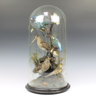 Victorian taxidermy, 2 stuffed and mounted kingfishers, 2 stuffed and mounted woodcock and a yellow hammer, contained in a glazed dome 21cm h x 26cm diam. 

