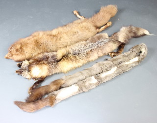 Two fox furs together with a grey  mink fur 