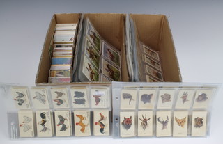A quantity of cigarette cards including John Players, Wills, Typhoo Tea and others 