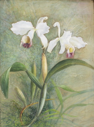 A J Capey, watercolour, signed, a floral study 48cm x 35cm 
