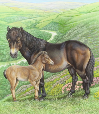 Richard W Orr, gouache, signed, study of Exmoor ponies in extensive landscape 28cm x 25cm 