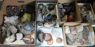 A collection of geological samples 
