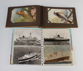 An album containing 68 coloured postcards of birds together with an album of black of white and coloured postcards of liners, aircraft and steam locomotives 
