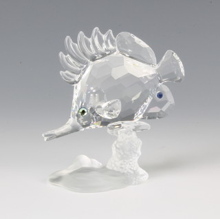 A Swarovski Crystal Butterfly Fish with long nose by Heinz Tabertshofer 666567/7644000011 2005 9cm boxed