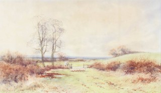 Alexander Molyneux Stannard (1878-1975), watercolour, signed, shepherd and flock in a downland setting 30cm x 50cm 