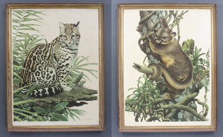 Axel Amuchastegui (1921-2002), a pair of coloured proof prints "Ocelot" signed in pencil and "Kinkajou" unsigned, the label en verso The Tryon Gallery Ltd Dover Street  75cm x 55cm 