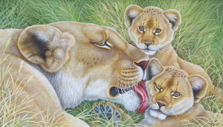 Richard W Orr, acrylic, signed, a lioness and cubs 21cm x 37cm 