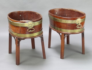 A pair of George III oval coopered mahogany wine coolers with brass banding and lion mask handles, raised on later associated bases 62cm h x 65cm w x 45cm d 