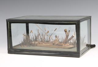 A 19th Century cased model of a fishing punt with fisherman amidst reeds 13cm x 28cm x 18cm 