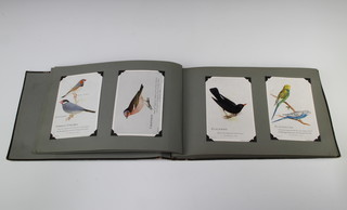 An album of coloured postcards of song birds 