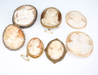 Five cameo brooches and 2 carved cameo shells