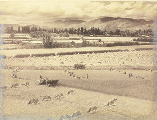 Photograph - Ellis Dudgeon (1905-1979) a black and white photograph of a New Zealand landscape with hay making, signed in pencil 16cm x 20cm 