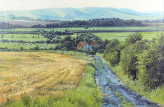 Stephen Hawkins, oil on canvas signed, a view of the Sussex Downs 50cm x 75cm 