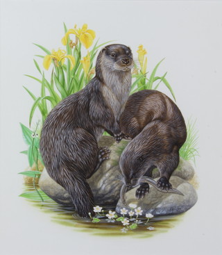 Richard W Orr, gouache signed, a study of otters 34cm x 30cm 