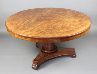 A William IV circular snap top dining table raised on turned column and triform base with scroll feet 72cm h x 137cm diam. 