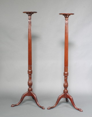 A near pair of Edwardian circular mahogany torcheres raised on turned and reeded supports with tripod base, egg and claw feet 161cm h x 25cm diam. and 164cm h x 25cm diam.  