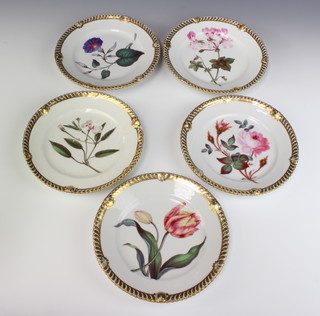 Five 19th Century Chamberlains Worcester dessert plates decorated with spring flowers enclosed in gilt borders - spear leaved geranium, ivory leaved geranium, tulip, moss rose and major convolvulus 21cm 