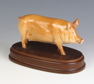 A Beswick figure of a Berkshire pig on wooden base 15cm