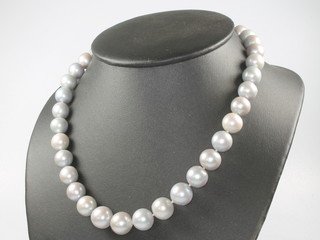 A string of grey coloured cultured pearls with a 9ct yellow gold clasp 44cm 