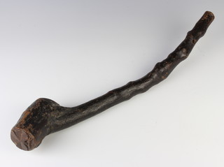 An Irish shillelagh the head carved a clover 48cm 
 