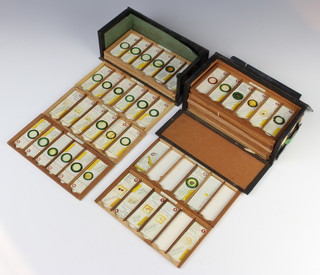 88 various botanical microscope slides contained in 2 wooden cases  