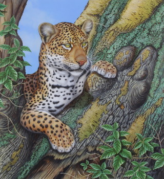 Richard W Orr, acrylic, signed, study of a leopard in a tree, 47cm x 43cm 