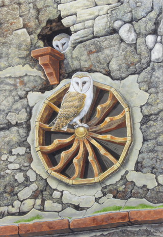 R W Orr, acrylic signed, study of owls in Umbria 49cm x 34cm 