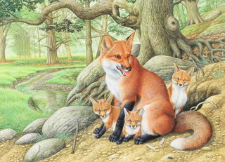 Richard W Orr, acrylic, signed, a fox and cubs in a woodland setting 34cm x 46cm