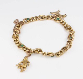 An Edwardian 15ct yellow gold turquoise bracelet with 2 gold charms 12 grams